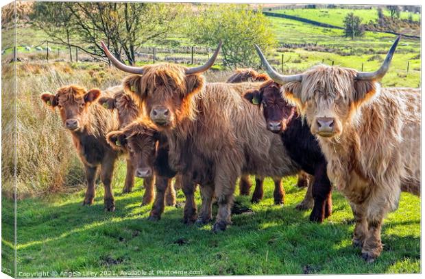 Highland Cattle group Canvas Print by Angela Lilley