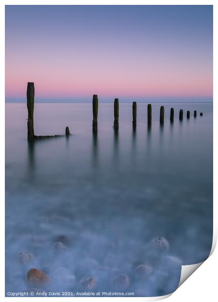 Ethereal old groyne Print by Andy Davis