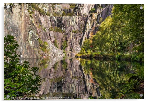 Old quarry reflections  Acrylic by Phil Longfoot