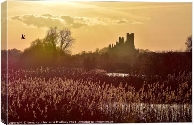 The Ship of the Fens - Ely Cathedral Canvas Print by Veronica in the Fens