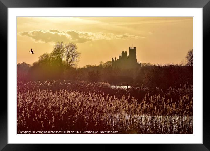The Ship of the Fens - Ely Cathedral Framed Mounted Print by Veronica in the Fens