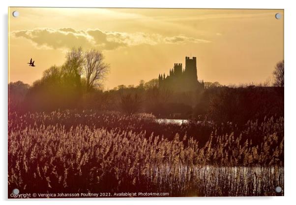 The Ship of the Fens - Ely Cathedral Acrylic by Veronica in the Fens