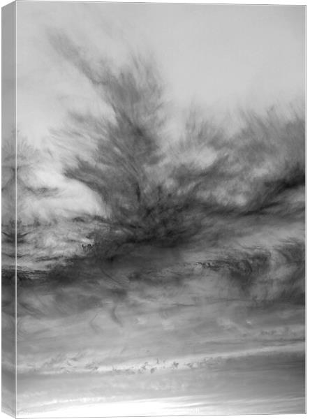 Fingers in the sky Canvas Print by Rory Hailes