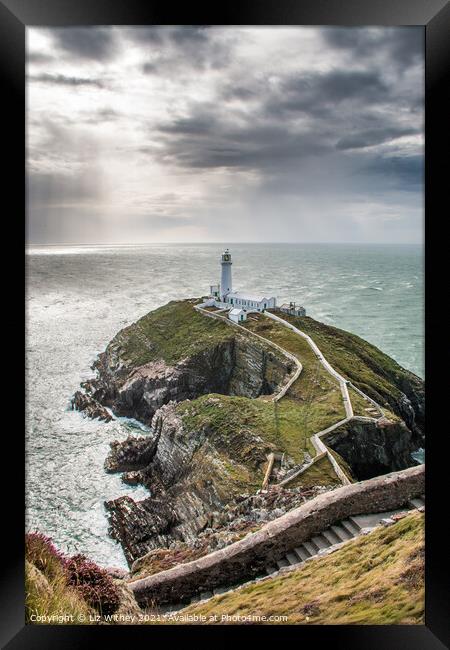 South Stack, Angelsey Framed Print by Liz Withey