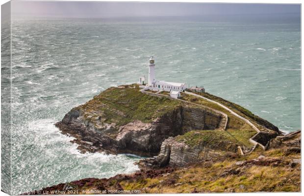 South Stack, Angelsey Canvas Print by Liz Withey