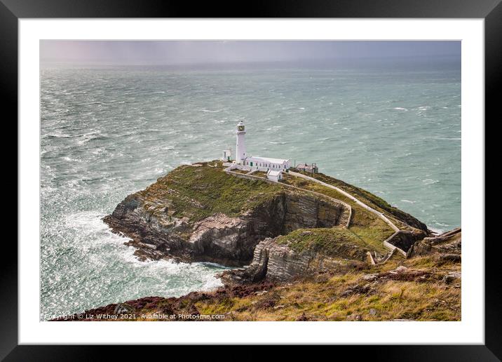 South Stack, Angelsey Framed Mounted Print by Liz Withey