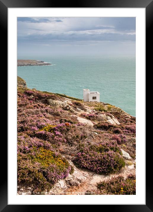 Ellin's Tower, Angelsey Framed Mounted Print by Liz Withey