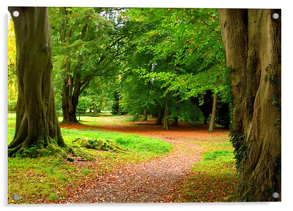 Woodland Pathway Acrylic by Trevor Kersley RIP