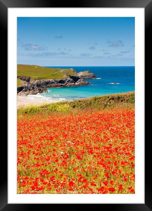 Cornish Poppy Fields iii Framed Mounted Print by Helen Northcott