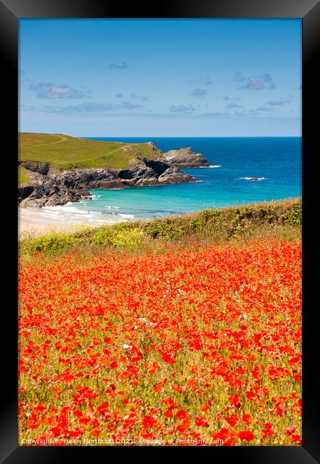 Cornish Poppy Fields iii Framed Print by Helen Northcott