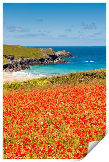 Cornish Poppy Fields iii Print by Helen Northcott