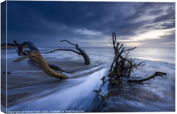 Timber. Covehithe, Suffolk Canvas Print by Martin Tosh