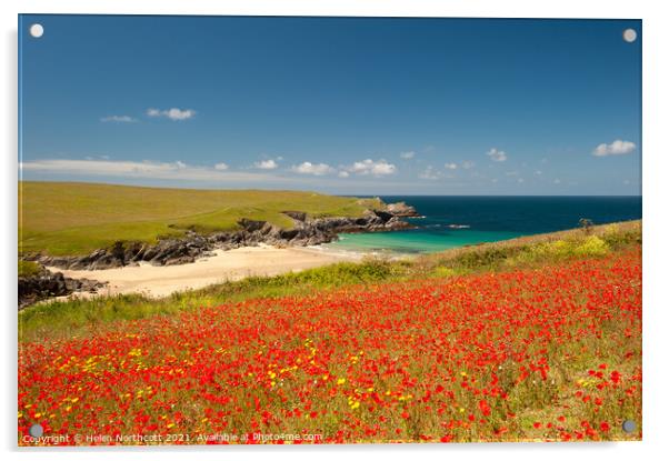 Cornish Poppy Fields i Acrylic by Helen Northcott
