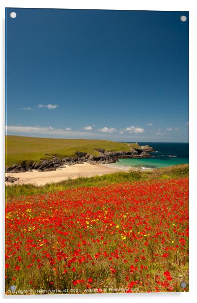 Cornish Poppy Fields ii Acrylic by Helen Northcott