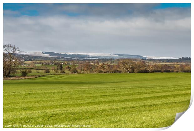 Rolled Wheat and Fresh Snow Print by Richard Laidler