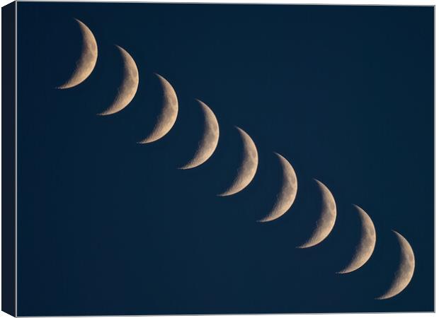 Crescent moons in line Canvas Print by mark humpage