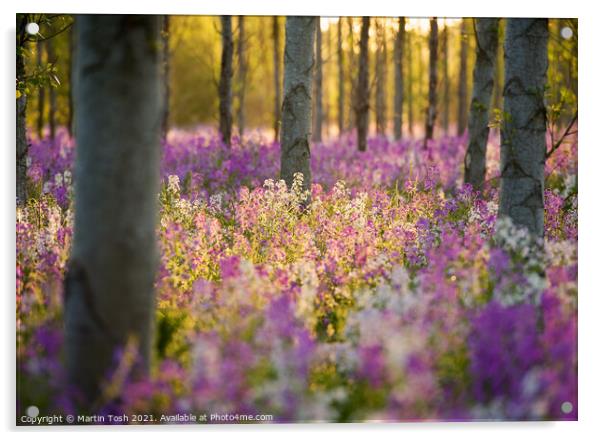 Wendling Wildflowers. Norfolk Acrylic by Martin Tosh