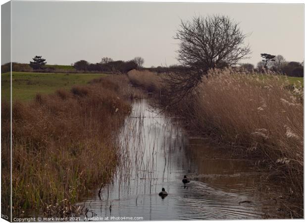 The Royal Military Canal at Pett Level Canvas Print by Mark Ward