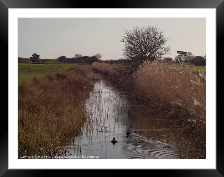 The Royal Military Canal at Pett Level Framed Mounted Print by Mark Ward