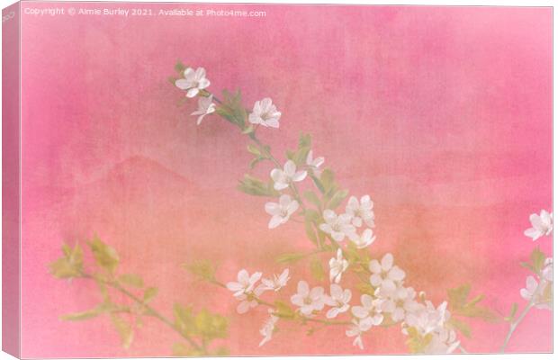 White blossom on pink Canvas Print by Aimie Burley