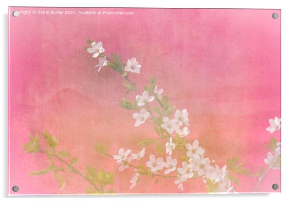 White blossom on pink Acrylic by Aimie Burley