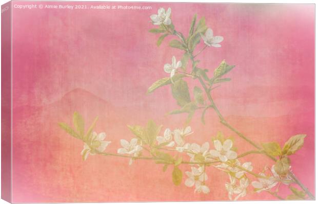 Pink and white blossom  Canvas Print by Aimie Burley