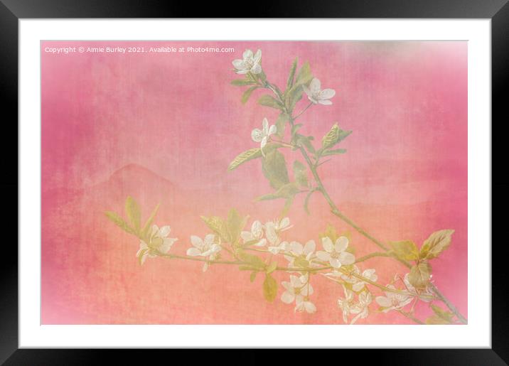 Pink and white blossom  Framed Mounted Print by Aimie Burley