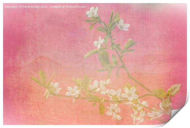 Pink and white blossom  Print by Aimie Burley