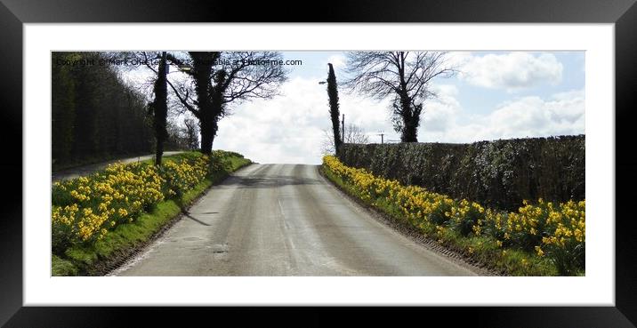 Golden Path of Spring Framed Mounted Print by Mark Chesters