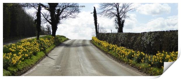 Golden Path of Spring Print by Mark Chesters