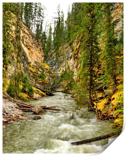 Fast River, Alberta, Canada Print by Mark Llewellyn