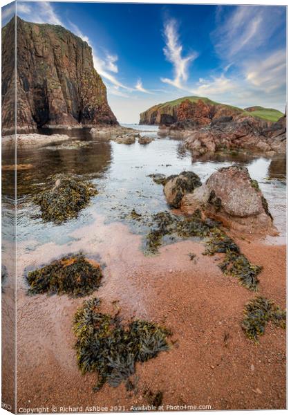 North end of the Hams of Muckle Roe Shetland Canvas Print by Richard Ashbee