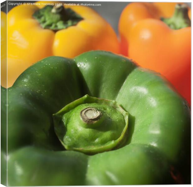 Bell Peppers Canvas Print by STEPHEN THOMAS