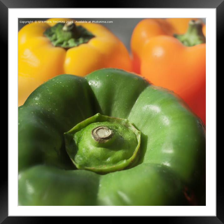 Bell Peppers Framed Mounted Print by STEPHEN THOMAS
