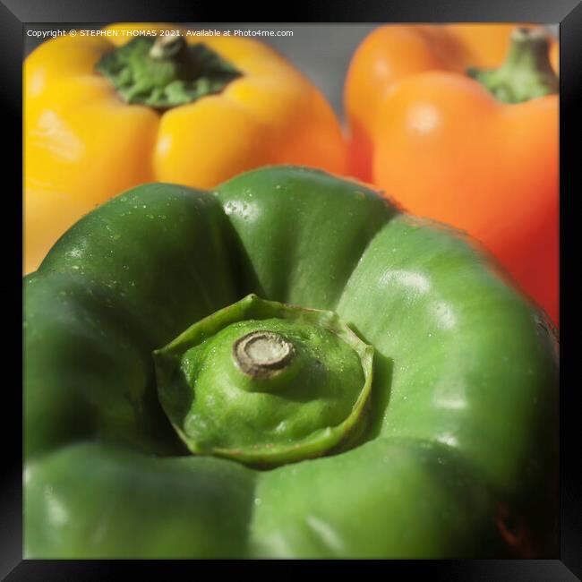 Bell Peppers Framed Print by STEPHEN THOMAS