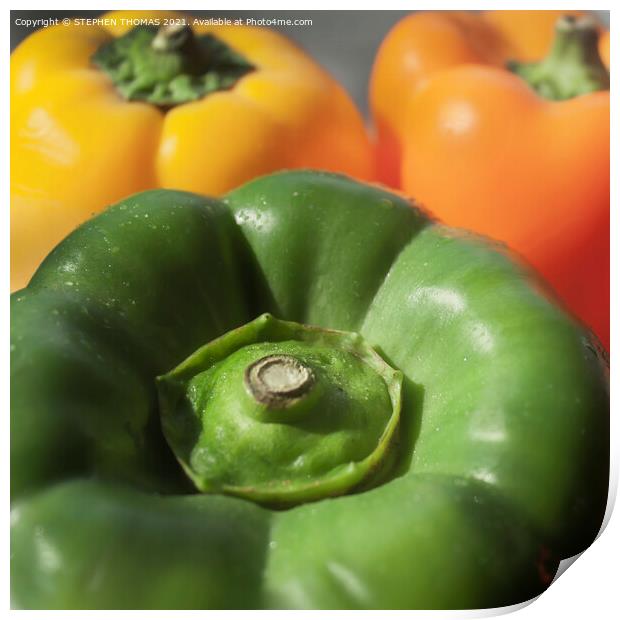 Bell Peppers Print by STEPHEN THOMAS