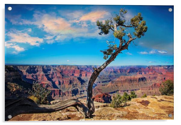 Grand Canyon scenic views and landscapes Acrylic by Elijah Lovkoff