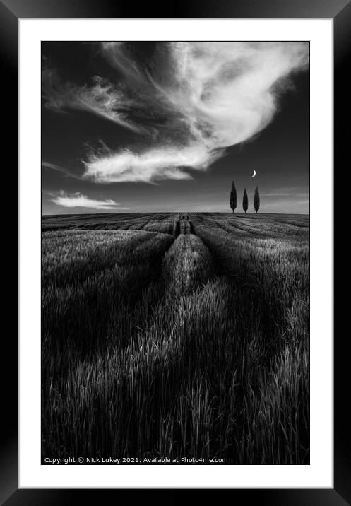 Three trees Framed Mounted Print by Nick Lukey