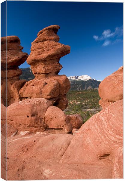 Alpine Contrast  Canvas Print by Mike Dawson