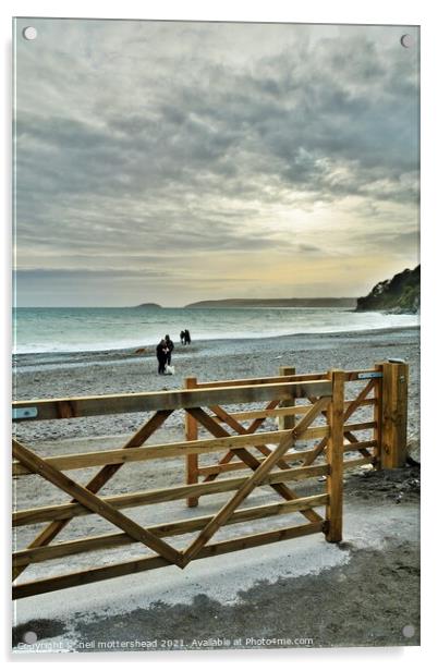 Gateway To Seaton Beach, Cornwall. Acrylic by Neil Mottershead