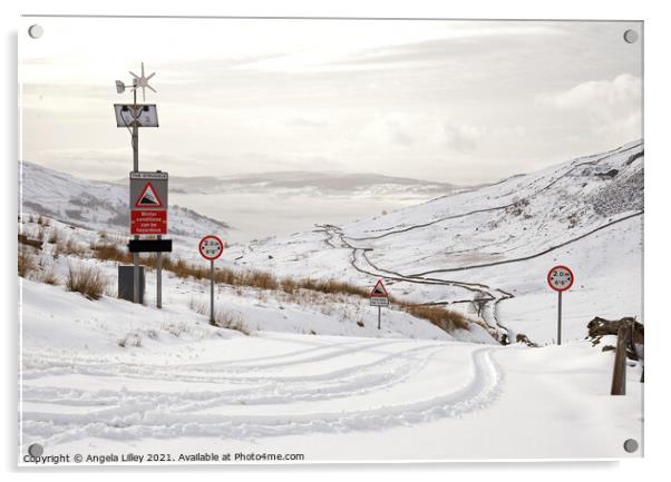 Kirkstone Pass, Cumbria Acrylic by Angela Lilley