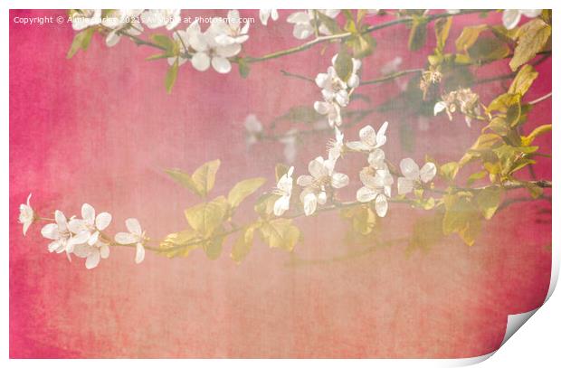 Blossoms Print by Aimie Burley