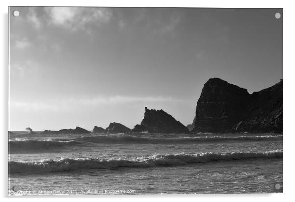 Amalia Beach Rocky Cliffs in Monochrome Acrylic by Angelo DeVal