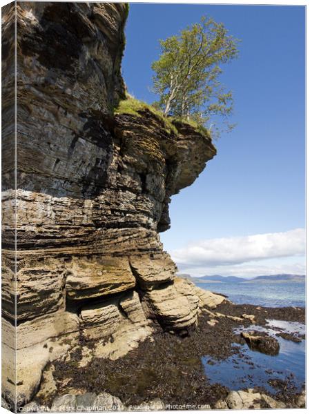 Eroded, overhanging sea cliffs and trees near Elgol, Isle of Skye Canvas Print by Photimageon UK