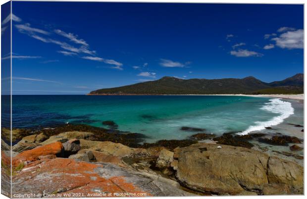 Wineglass Bay in Tasmania, Australia Canvas Print by Chun Ju Wu