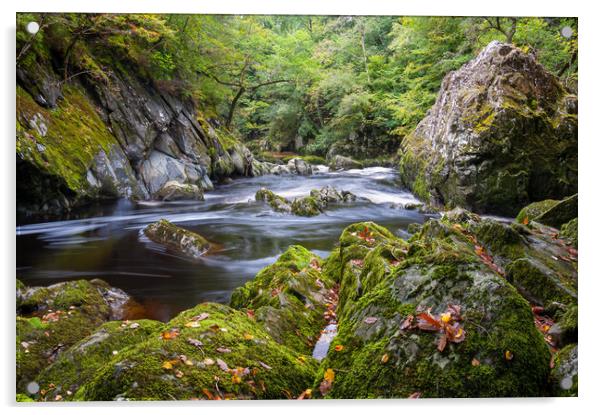 Fairy Glen, Betws-y-Coed, North Wales Acrylic by Andrew Kearton