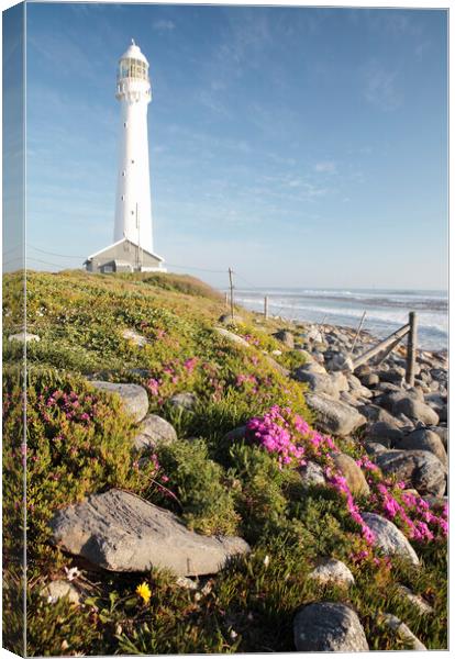 Slangkop Lighthouse, Kommetjie, near Cape Town Canvas Print by Neil Overy