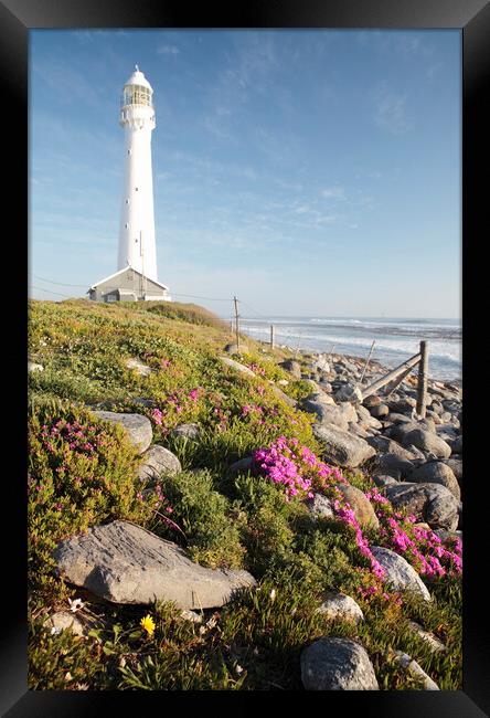 Slangkop Lighthouse, Kommetjie, near Cape Town Framed Print by Neil Overy