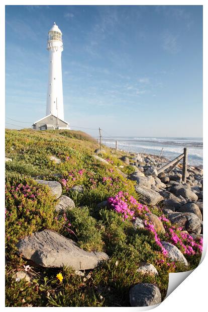 Slangkop Lighthouse, Kommetjie, near Cape Town Print by Neil Overy