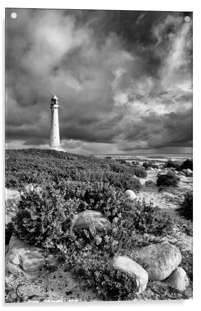 Slangkop Lighthouse, Kommetjie, near Cape Town Acrylic by Neil Overy
